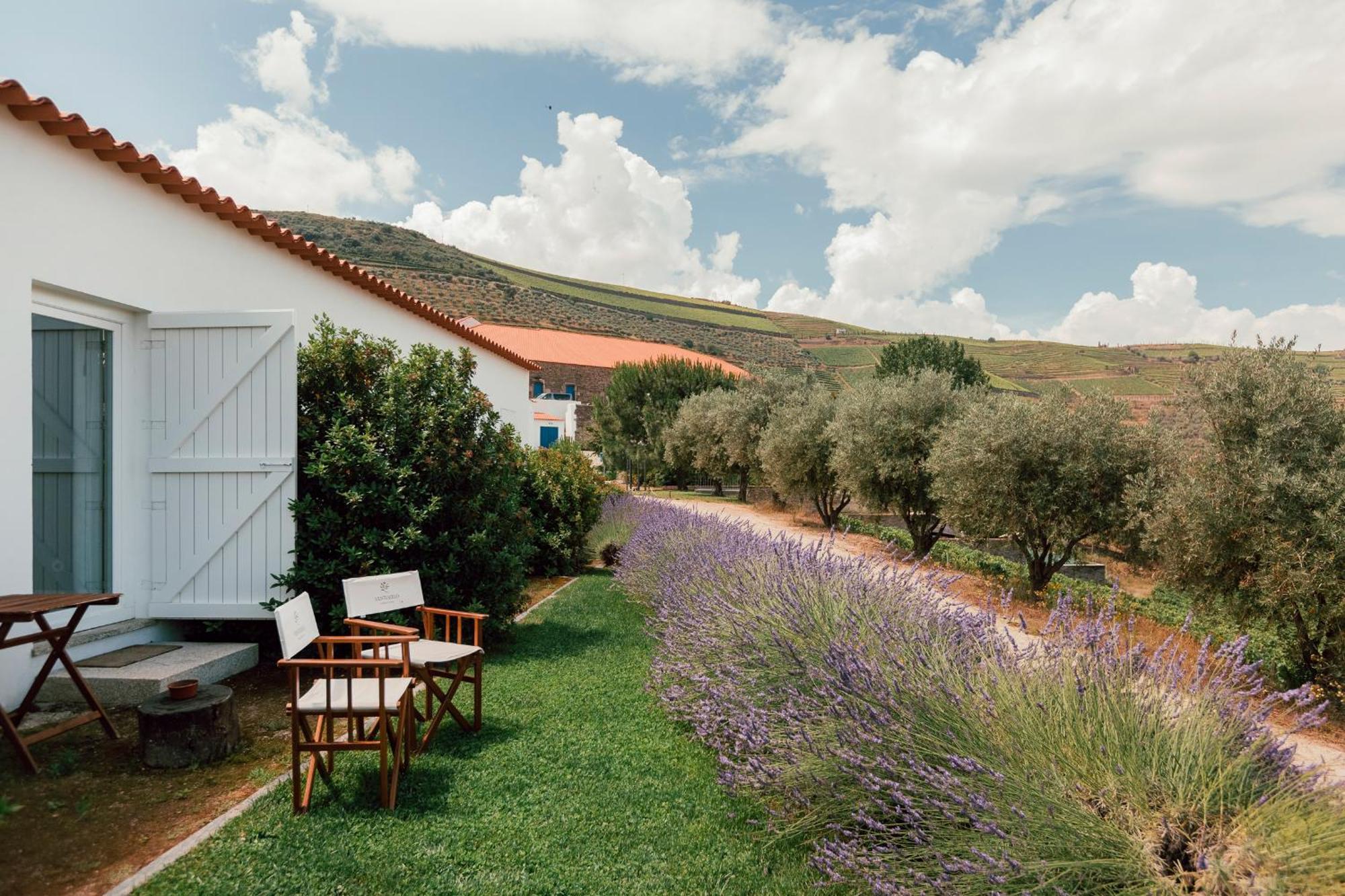 Ventozelo Hotel&Quinta Ervedosa do Douro Esterno foto