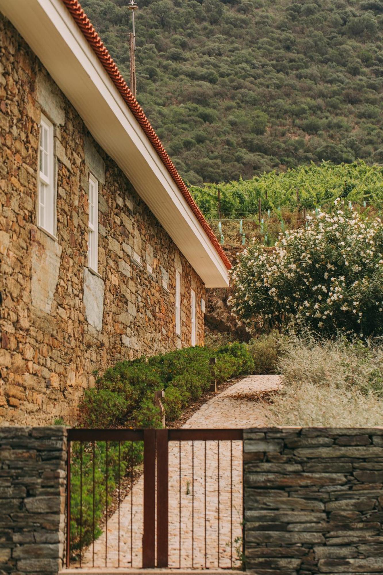 Ventozelo Hotel&Quinta Ervedosa do Douro Esterno foto